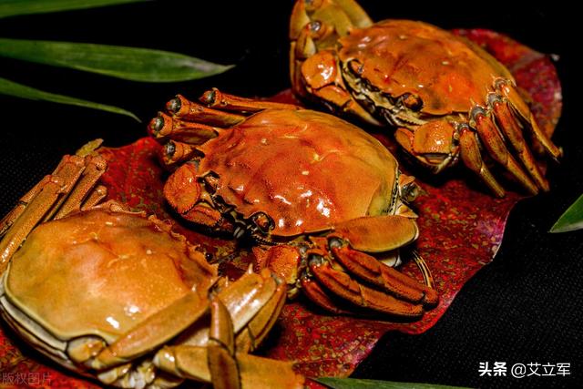 大闸蟹怎么做好吃，螃蟹的二十种做法（大闸蟹的家常做法有哪些）