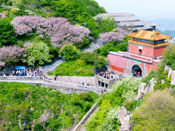 泰山好玩吗，泰山旅游攻略（此生不老，必去泰山）