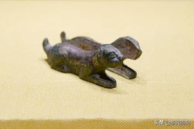 属虎是哪一年出生的，属虎的是哪年出生的（为啥十二生肖打头的是老鼠而不是老虎）