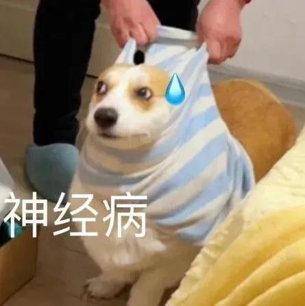 萌宠表情包，微信头像，萌宠表情包（萌宠表情包：我的爱是垃圾吗）