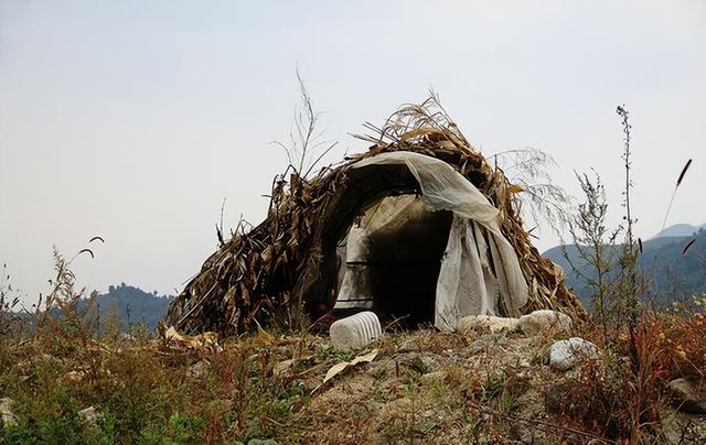 瓜车是什么意思，瓜子保卖车是什么意思（《卖瓜》谨以此献给我的父亲）