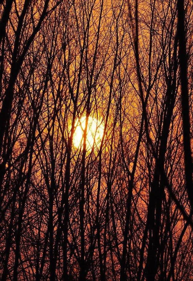 落日余晖图片，落日余晖（壁纸：黄昏夕阳）