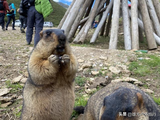 稻城亚丁色达自由行旅游攻略，此生必去的红川西佛国秘境