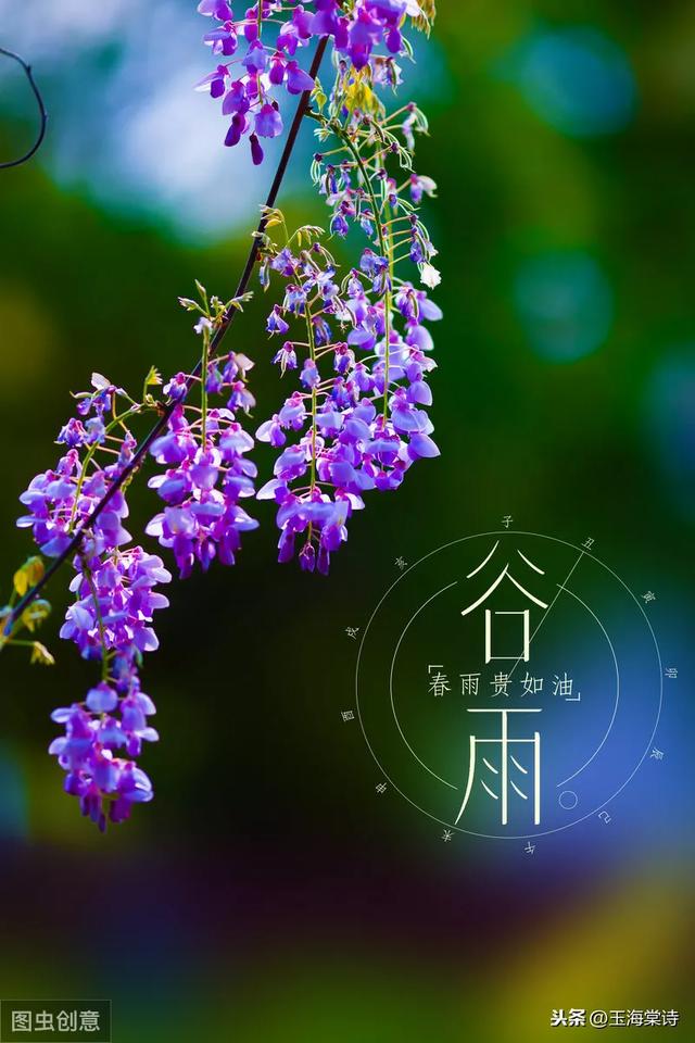 谷雨节气祝福语带图片，谷雨节气的祝福短信（谷雨图片配图高清唯美带字）