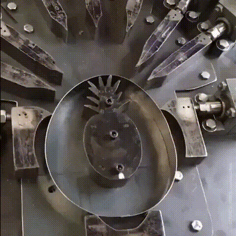 科普知识资料大全，科普小知识大全（45张有科普性动图带我们了解世界的真相）