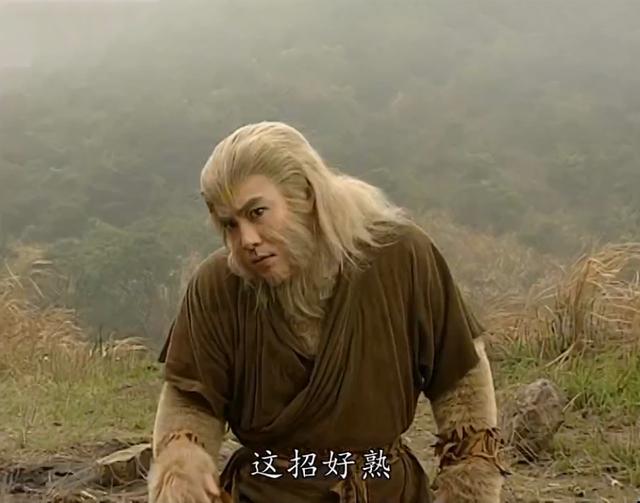 张卫健版西游记叫什么，张卫健版西游记叫什么名字（张卫健版的孙悟空是一代人的回忆）