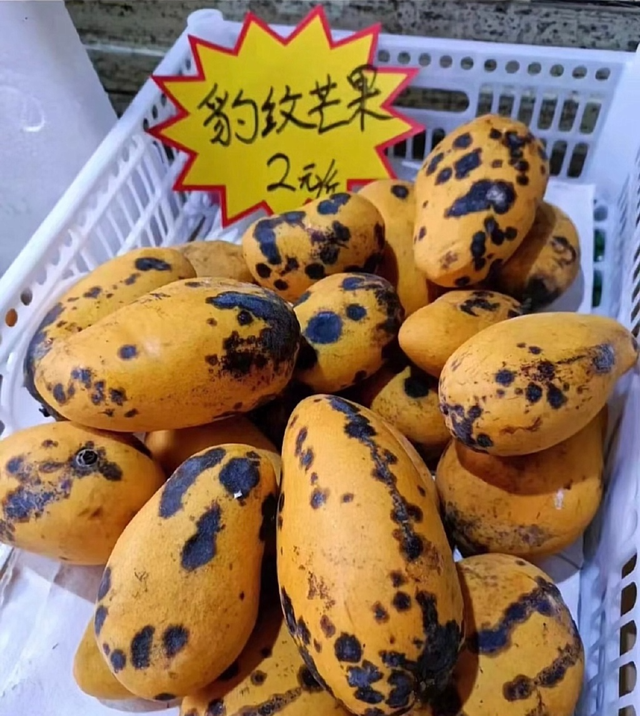 孕妇可以吃芒果吗，孕妇可以吃芒果吗早期（芒果新品种？慎食！）