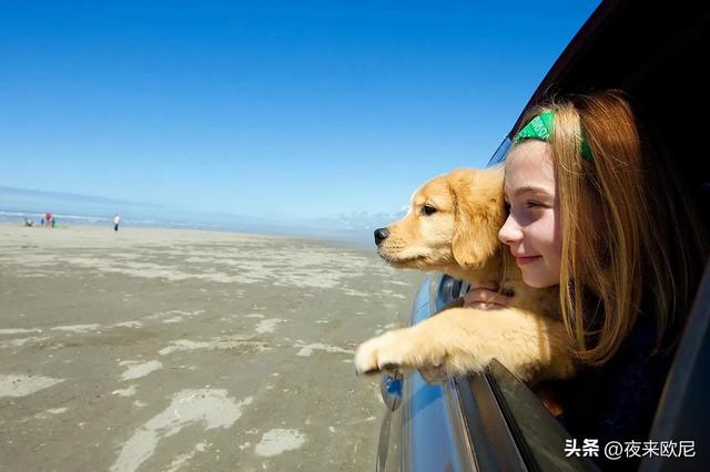 适合旅行路上听的10首歌，最适合在自驾游途中听的十首歌