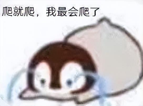 好看的表情包(10000种表情包图片大全)