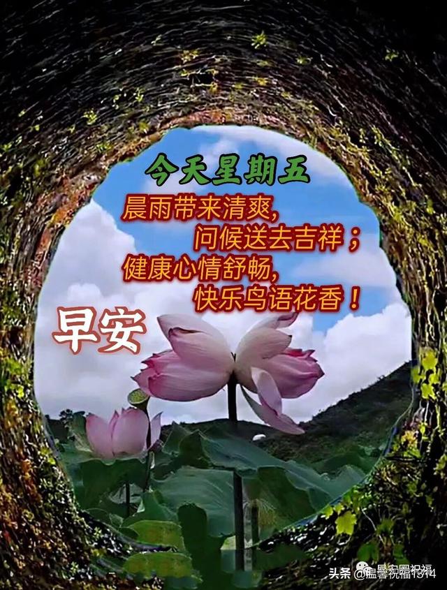 周五创意早上好祝福图带字8张 温馨的问候朋友祝福语简短晨语文字