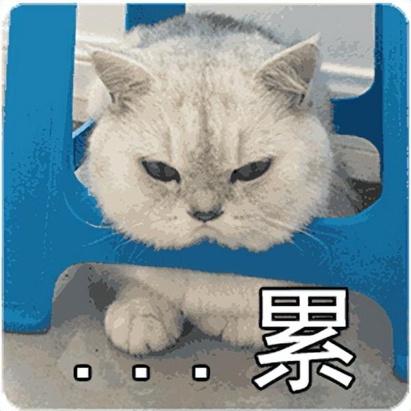 微信照片发不出去(为啥照片发不出去)