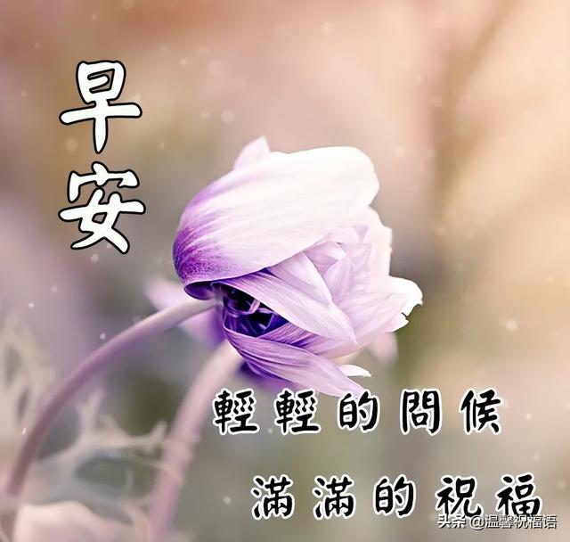 好友祝福语大全，好友祝福语（4月30日早上好最新问候语大全）