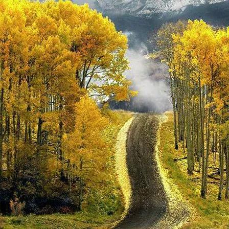 图片，微信头像，图片（清新多彩自然美景）