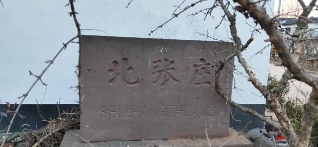 张庄真实历史故事，溯源张庄村史