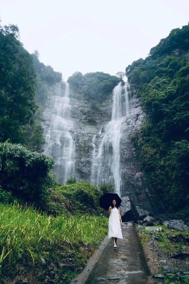 泰顺旅游必去景点介绍，泰顺游玩景点（盛夏到温州泰顺来避暑）