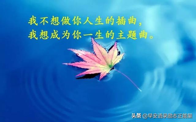 抖音语录经典语录，抖音上的说说经典语录（正能量早安发朋友圈的句子）