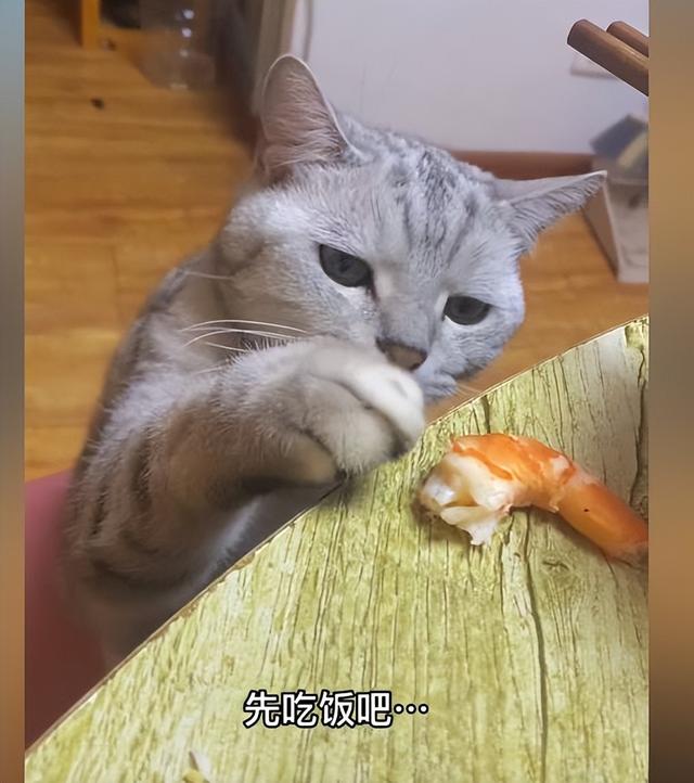 如何寻找相同的图片，如何找到相同图片（网友：这长得也太不一样了吧）