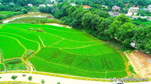 长沙自驾游攻略，长沙旅游攻略最佳路线推荐自驾游（藏在长沙近郊的“大观园”）