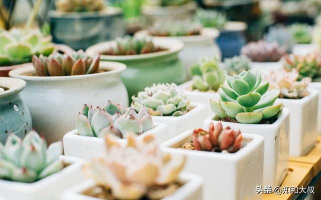 女人简单气质一句话，女人简单气质一句话早安语（一个女人最好的风水：一句话）