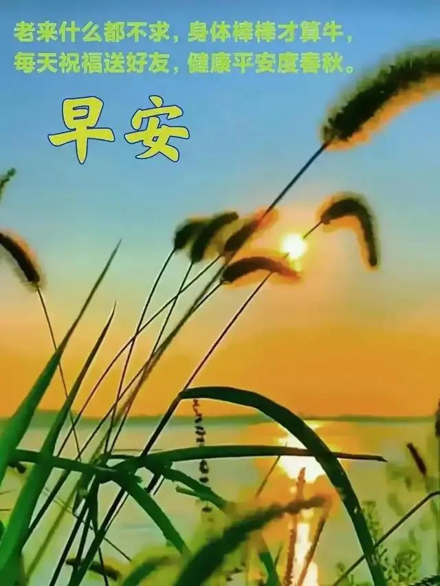 03年属什么生肖，03年属什么（2023年04月03日）