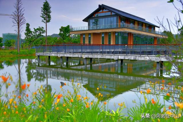 中山市有哪些好玩的地方，中山哪里好玩的地方一日游（中山市内5个好拍好玩好去处）