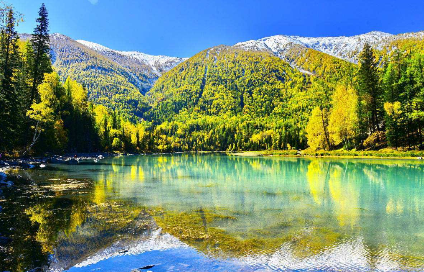 中国湖泊面积排名(中国四大淡水湖)