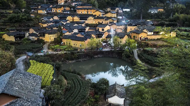 湖南南山牧场在哪里，湖南南山牧场旅游攻略自驾游（邵阳旅游推荐：南山牧场）
