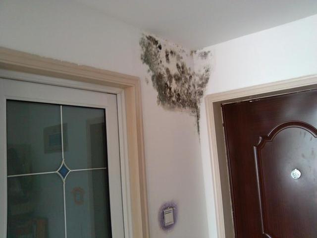 卧室除湿最有效的方法，卧室快速除湿（卧室房间潮湿怎么办）