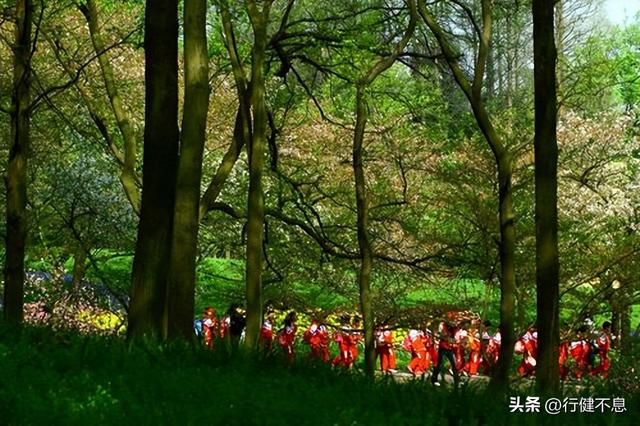 海内存知己天涯若比邻的作者是谁，海内存知己天涯若比邻作者出自哪（一代神童王勃最著名的八首诗）