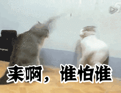 日俄为什么要争议岛屿，俄日“北方四岛”问题根源