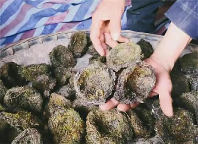 一般燕窝的价格多少钱一克，燕窝通常多少钱一克（儿子却上工地也不学采燕窝）