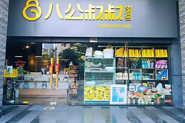 查找附近的宠物医院，附近宠物医院怎么找（这几家宠物店值得推荐）