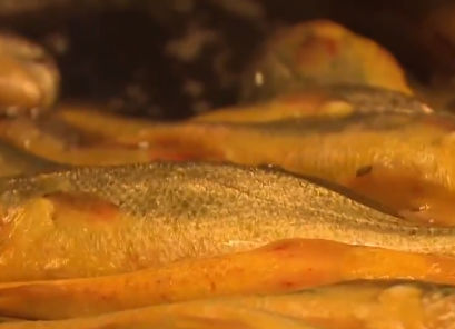 卖金鱼好赚吗，金鱼生意怎么样（别人不支持他偏要瞎折腾）