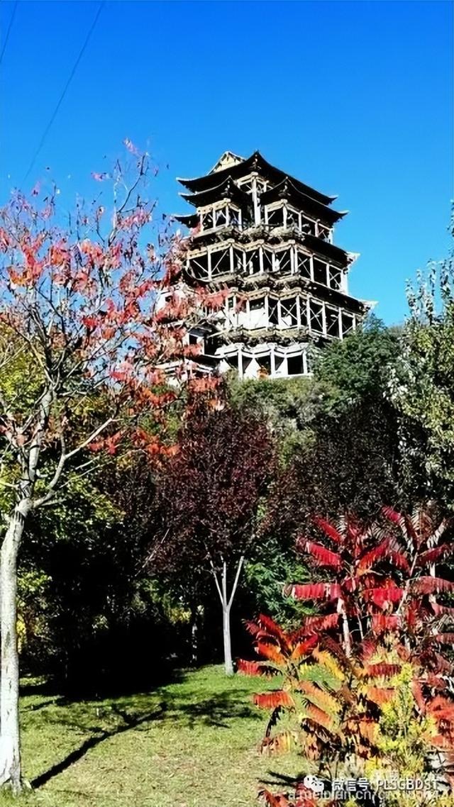 南山公园在哪里，深圳大南山公园开放时间（这是你们熟悉的那个南山公园吗）