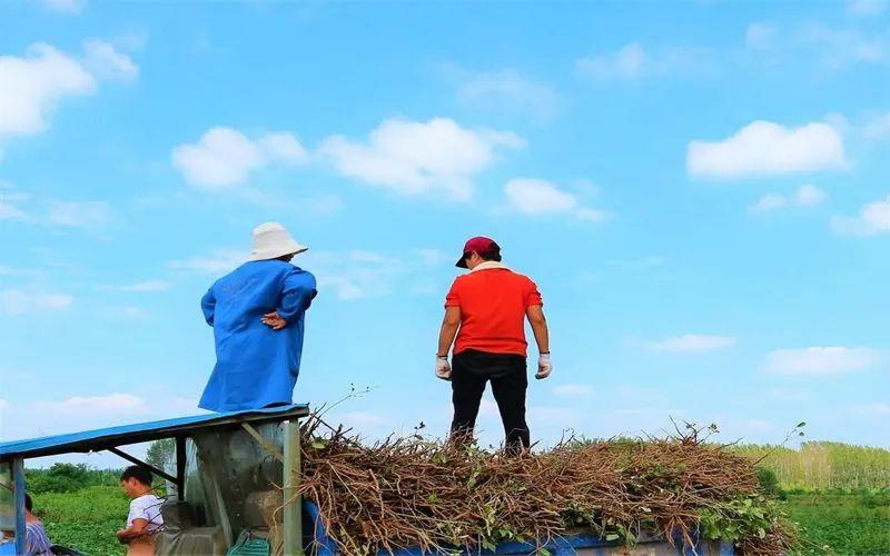 农村做啥赚钱（三个不起眼却很暴利的小生意解析）