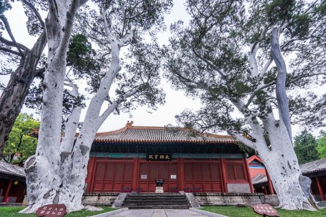 北京风景优美的地方，北京十大最值得去的景点（古寺寻幽、山林品茶）