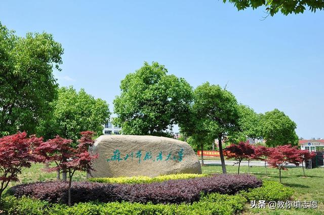 扬州职业大学最好的专业是什么，10大热门专业排名（这14所高校虽然叫大学）