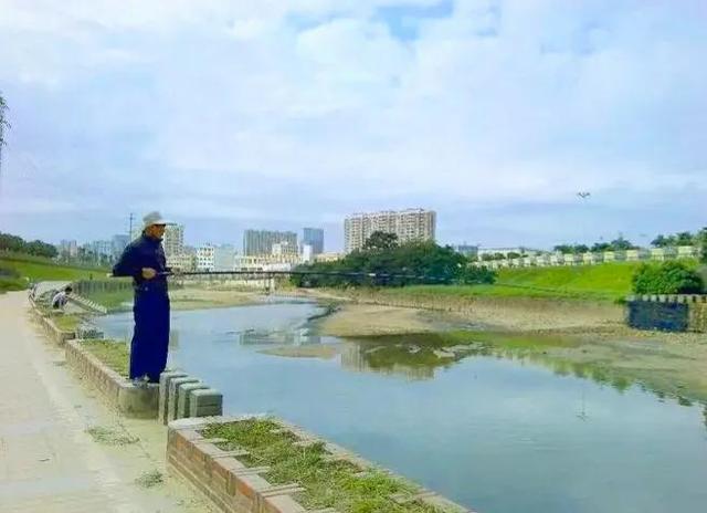 深圳哪里可以钓鱼，深圳哪里可以钓鱼野点更好高分哦（深圳这3个地方免费钓鱼）