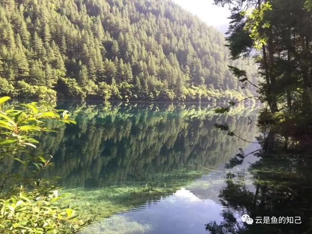 九寨归来不看水，九寨归来不看水的意思（黄山归来不看岳,九寨归来不看水的意思）