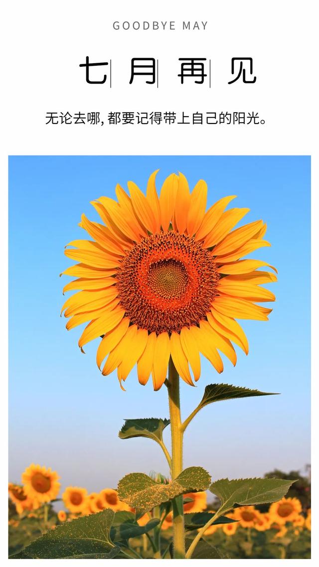 八一建军节发朋友圈，建军节文案（正能量经典语录）