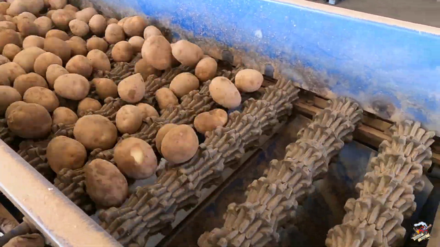 土豆怎样用刀切成小块，土豆如何切成小块（需要“切”开马铃薯吗）