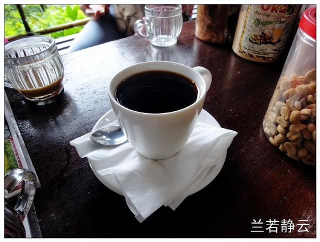 猫屎咖啡的价格，猫屎咖啡多少钱一杯（印尼巴厘岛旅游）
