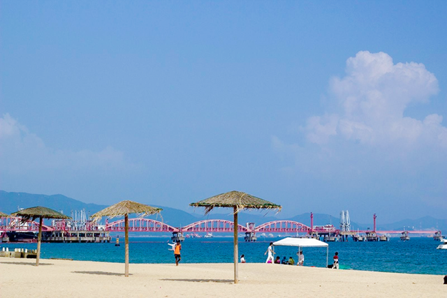 深圳红树林门票，深圳红树林公园游玩攻略（深圳情侣游玩地点推荐）