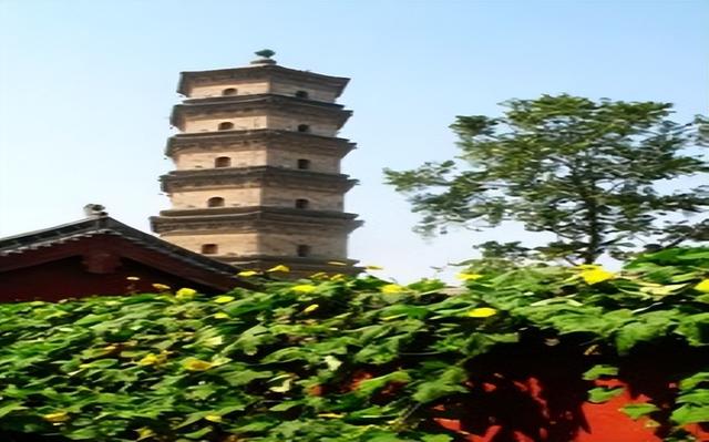 鸡肋是什么意思梗，那些流入延津的网络用语