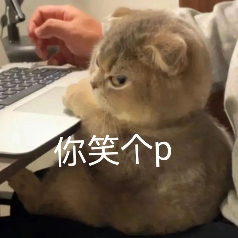 最近很火的表情包(网上超火的表情包)