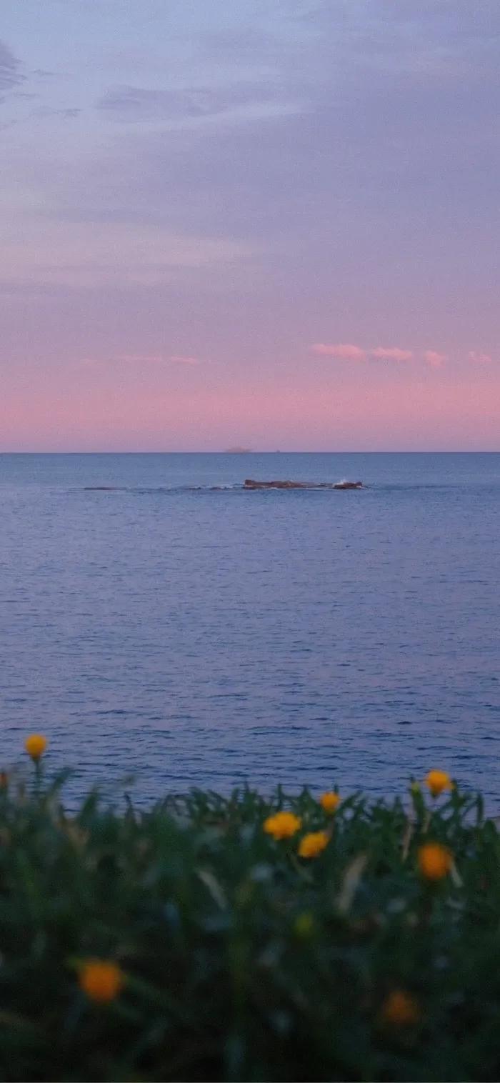 吃了发霉的东西怎么办-今日头条