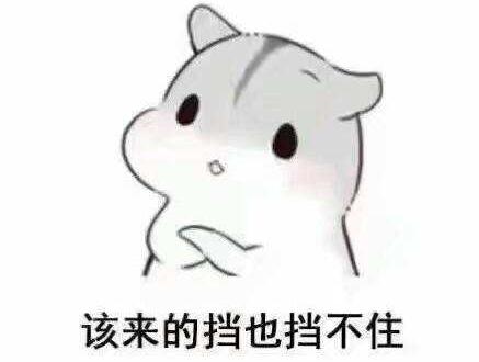 西安研究生考试成绩公布时间，西安音乐学院2021考研成绩公布的时间是哪一天（2022考研成绩公布时间汇总）