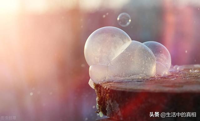 排名第一的灭蟑螂神器，实测这几种灭蟑产品