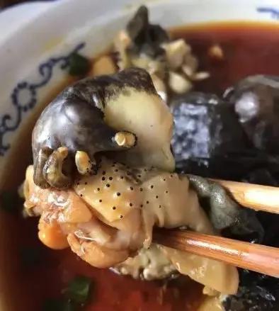 小山沟里的野生石蛙，大山小溪里稀有的物种