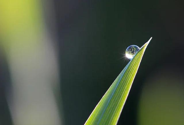 兔年宝宝取名最佳用字，兔年宝宝取名宜用字（适合兔年宝宝的名字）